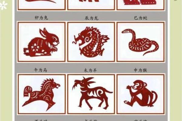 属虎的2023年结婚(2023属虎感情)