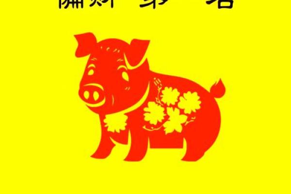 2025年属猪适合什么颜色 2025年属猪幸运色指南最适合的颜色推荐