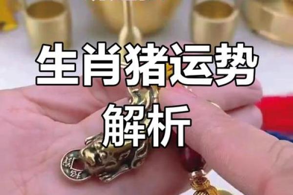 2025年83年男猪运势_1983年属猪2023年运势每月运势男 2025年83年男猪运势_1983年属猪2023年运势每月运势男