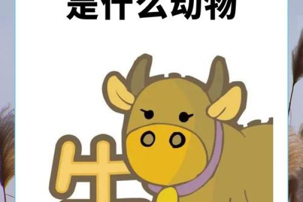 “各霸一方”是什么生肖,各霸一方打一动物答案解释释义落实 “各霸一方”是什么生肖,各霸一方打一动物答案解释释义落实