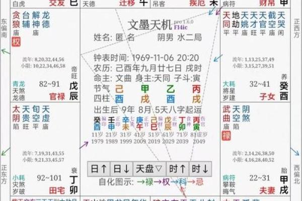 2025年4月2日申时男命紫微斗数全解盘 2025年4月2日申时男命紫微斗数全解盘