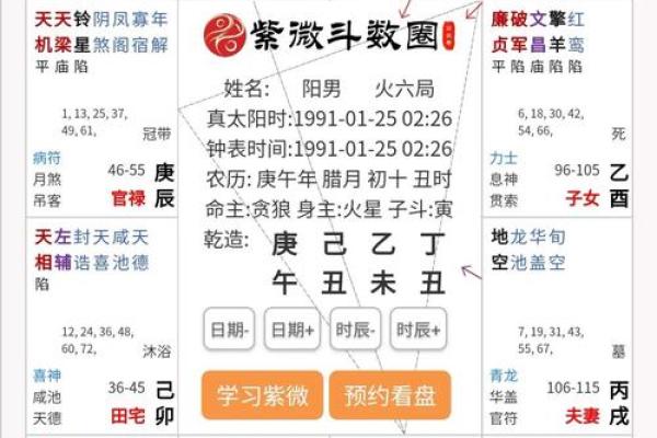 2025年4月1日酉时男命紫微斗数全解盘 2025年4月1日酉时男命紫微斗数全解盘