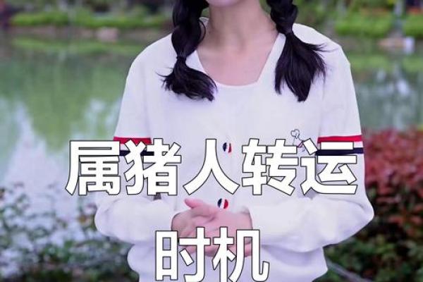 属猪2025年的运势及运程_2025年属猪运势详解全年运程大揭秘 属猪2025年的运势及运程_2025年属猪运势详解全年运程大揭秘