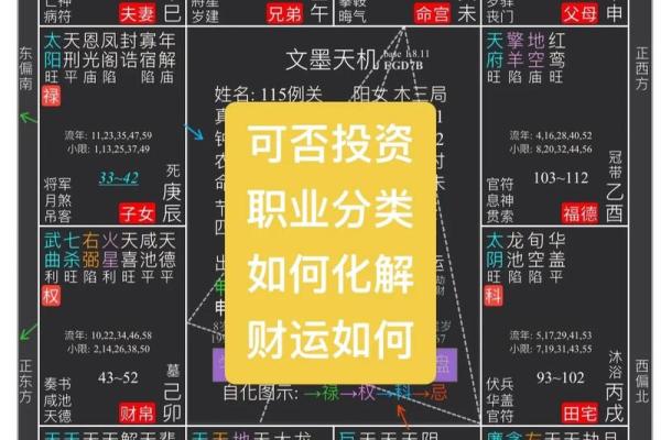 2025年4月16日未时男命紫微斗数全解盘