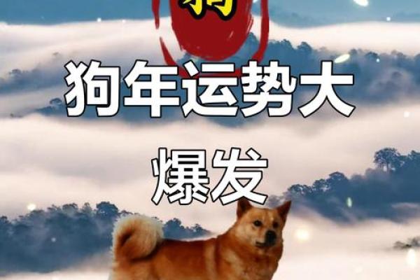 属狗2025年运势及运程每月运程狗 1970年属狗的每月运势