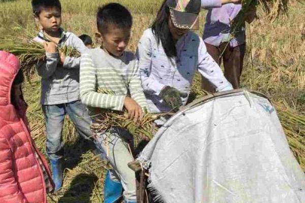 “头顶蓝天脚踏地”是什么生肖动物，广州荔湾“早茶传播链”增至11人答案解释释义落实