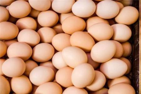 40多岁女人梦见鸡蛋好不好