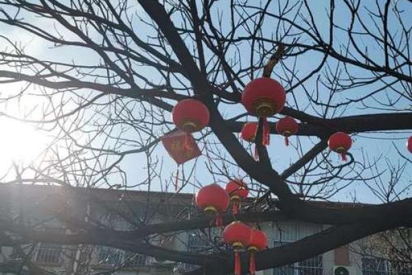 今天适宜动土吗(今天适宜动土吗) 今天适宜动土吗(今天适宜动土吗)