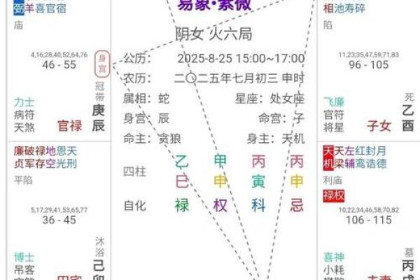 2025年4月28日午时女命紫微斗数全解盘
