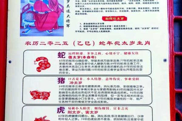 生肖属猪2025年运势_2025年生肖属猪运势详解财运事业爱情全面解析 生肖属猪2025年运势_2025年生肖属猪运势详解财运事业爱情全面解析