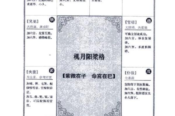 2025年4月23日酉时女命紫微斗数全解盘