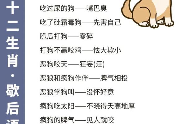 自学成才是什么生肖(自学成才打一成语)