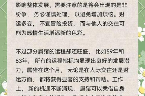 2025年属猪幸运色揭秘提升运势的最佳选择 2025年属猪幸运色揭秘提升运势的最佳选择