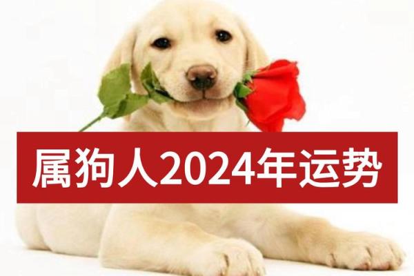 70年属狗2025年运势完整版_70年属狗2025年运势详解全年运程完整版