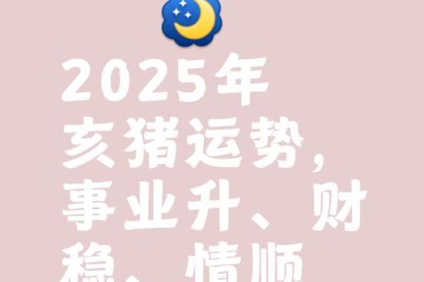 猪年2025年运势及运程 2025猪年运势详解运程预测与开运指南 猪年2025年运势及运程 2025猪年运势详解运程预测与开运指南
