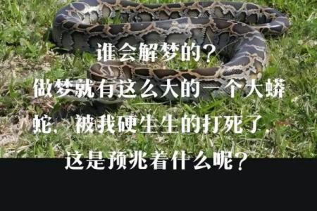 梦见蛇是咬自己什么预兆