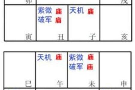 2025年4月23日丑时男命紫微斗数全解盘