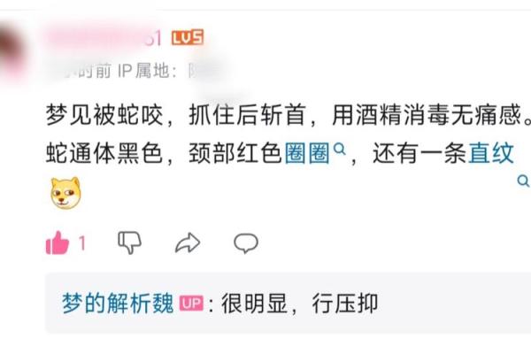 周公解梦被蛇咬了是什么意思
