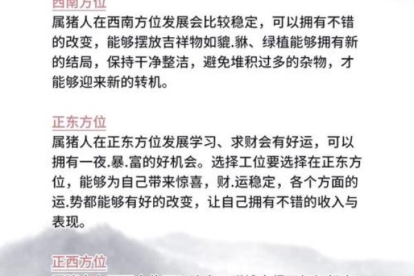 2025生肖猪运势详解财运事业爱情全解析 2025生肖猪运势详解财运事业爱情全解析