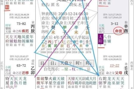 2025年4月11日卯时男命紫微斗数全解盘