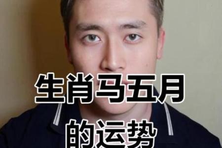 2025年属马的打牌的吉日 属马打牌什么日子好