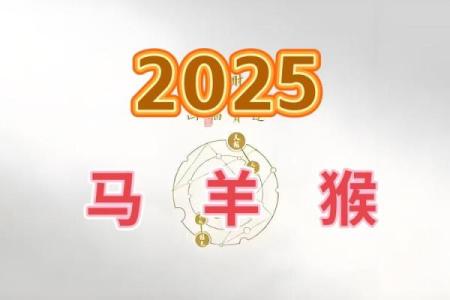 属羊2025虚岁多大 2025年属羊多大了