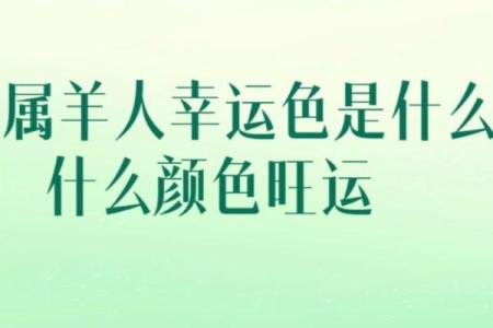 2025年属羊的幸运色_属鼠人2025年幸运色是什么颜色