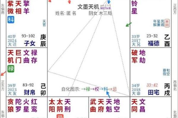 2025年4月16日戌时男命紫微斗数全解盘