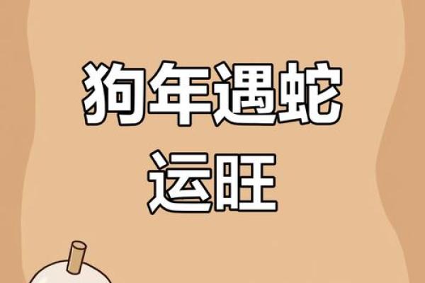 属狗人今天的运气和财运 狗今天偏财运最旺时间 属狗人今天的运气和财运 狗今天偏财运最旺时间