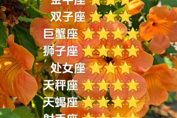 金牛男今日最准运势