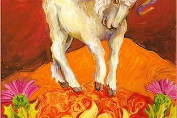 美国神婆2025年全年星座运势 美国神婆2021年星座运势完整版