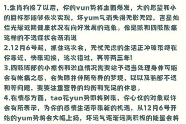 1982属狗是什么命_1982年属狗人的命运解析运势性格与未来展望