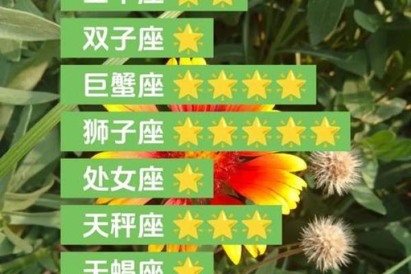 白羊今日运势星座屋(白羊今日运势星座运势紫微) 白羊今日运势星座屋(白羊今日运势星座运势紫微)