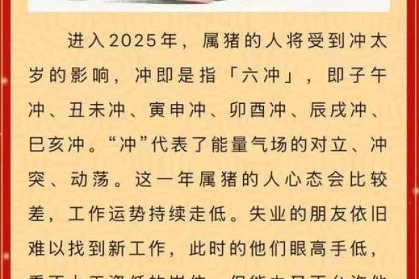 属猪今天犯太岁吗_属猪今天祸害男主了吗