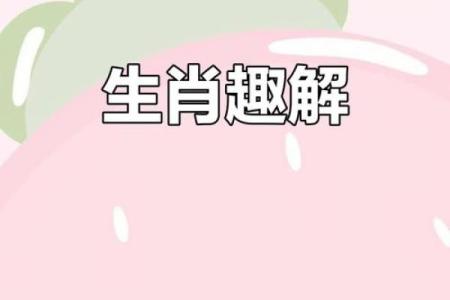 包你中奖是什么生肖(包你中奖怎么理解)