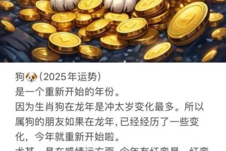 2025年属狗全年运势详解事业财运感情全面解析