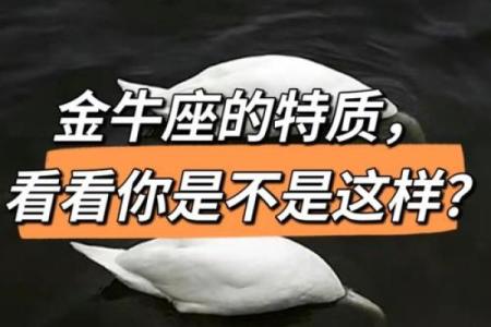 3月27日金牛座性格