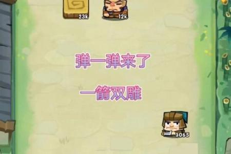 一箭双雕打一生肖(一箭双雕打一生肖最佳答案是什么)