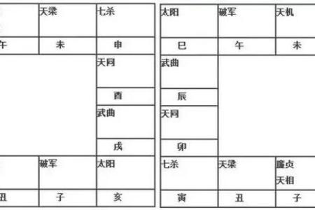 2025年4月20日巳时男命紫微斗数全解盘