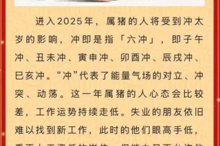 属猪今天犯太岁吗_属猪今天祸害男主了吗