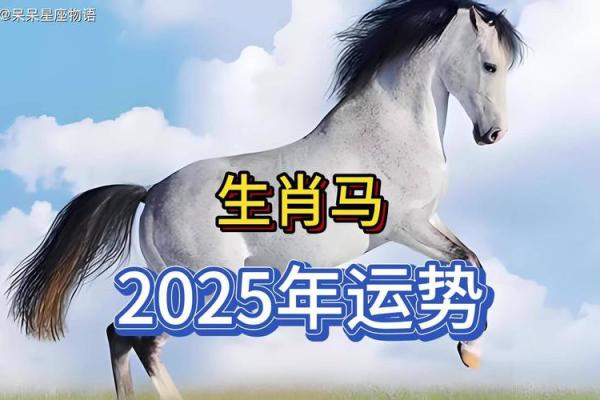 属马人2025年运势详解_02属马人2025年运势及运程 属马人2025年运势详解_02属马人2025年运势及运程