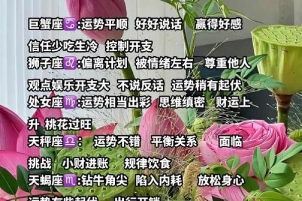 今天的星座运势查询_今天星座运势查询问