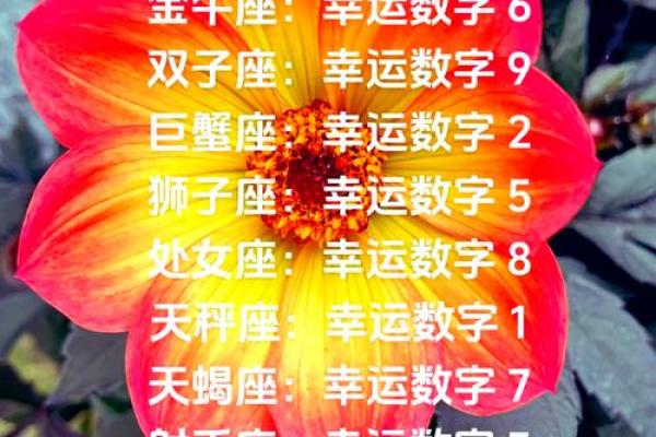 金牛座今天的运程