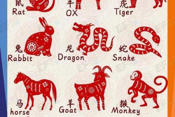 胆大包天打一生肖