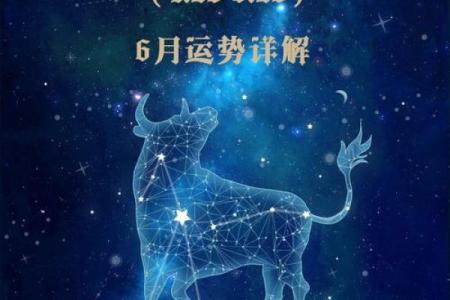 金牛今天的运势