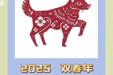 2025属狗带什么首饰最好呢_2025年属狗人最佳首饰推荐提升运势必备指南