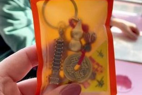 “莘莘学子是一家”打一正确的生肖，莘莘学子是什么生肖答案解释释义落实