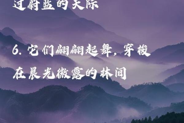 “蓝天白云鸟儿飞”打一准确动物生肖，蓝天白云鸟儿飞打一正确生肖答案解释释义落实