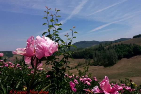 “韶光似箭”打一准确生肖,韶光似箭最准确的生肖答案解释释义落实 “韶光似箭”打一准确生肖,韶光似箭最准确的生肖答案解释释义落实