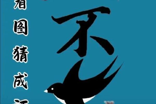 无法无天的动物猜一生肖